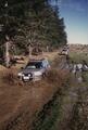 Freelander in the mud - Woodhill.JPG